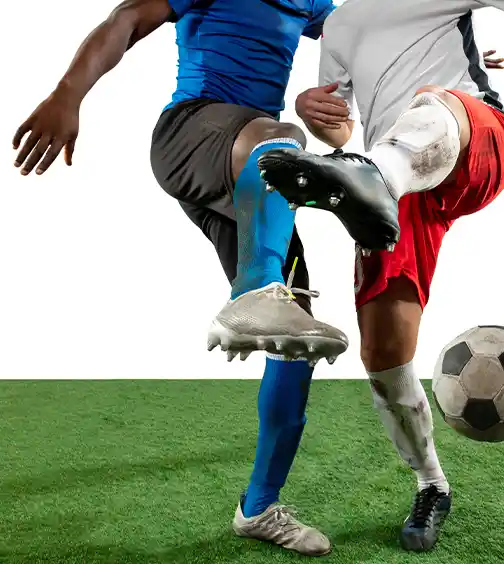 Μπράιτον & Χοβ Άλμπιον v Μπόρνμουθ